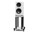 Elysian 1 Stands - Wharfedale